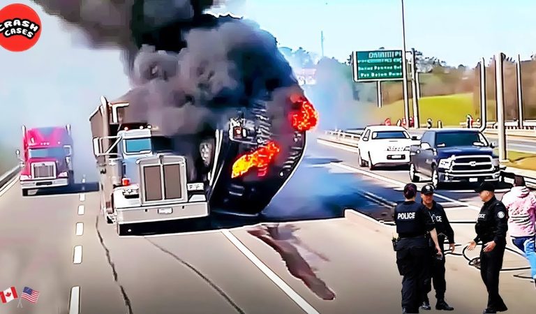 145 SHOCKING 2024: Idiots in Cars, Epic Car Crashes & Insane Police Chases Moments Before Disaster!