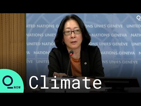 Speaker discusses climate at United Nations conference.