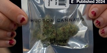 Hudson Cannabis packaging held by person with painted nails.