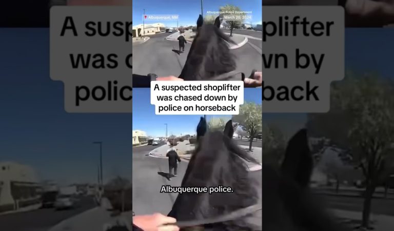 Shoplifter tries to outrun police on horseback