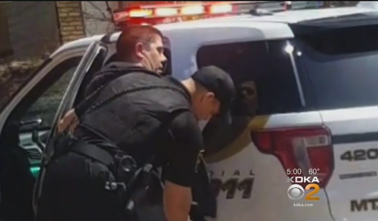 Driver Under Arrest After Trying To Outrun Officers