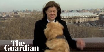Woman with dog near stadium view