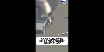 Bystander intervenes in police chase