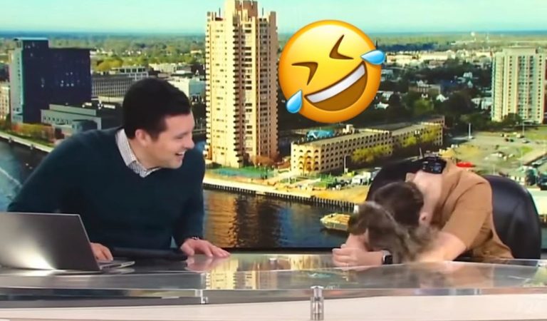 Funniest News Bloopers 2024