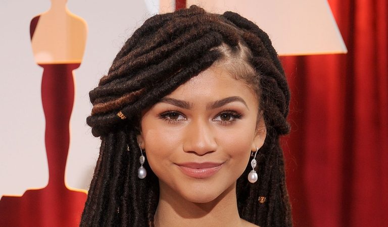 Zendaya Inspired to Change the World After Hair Critique!