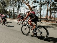 Cyclists racing on sunny road.