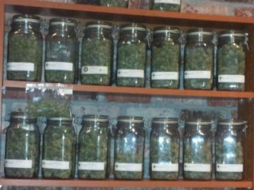 Glass jars filled with herbs on shelves.