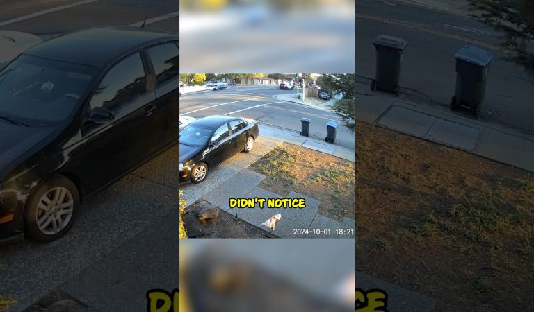 Unfortunate Police Fail Captured on Home Security Camera  #shorts