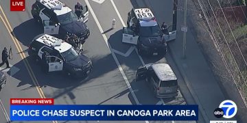 Police cars surrounding vehicle, Canoga Park chase.
