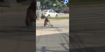 Person sitting on sidewalk near parked cars.