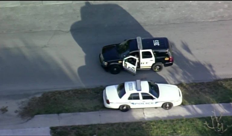 Miami Gardens police chase reckless driver