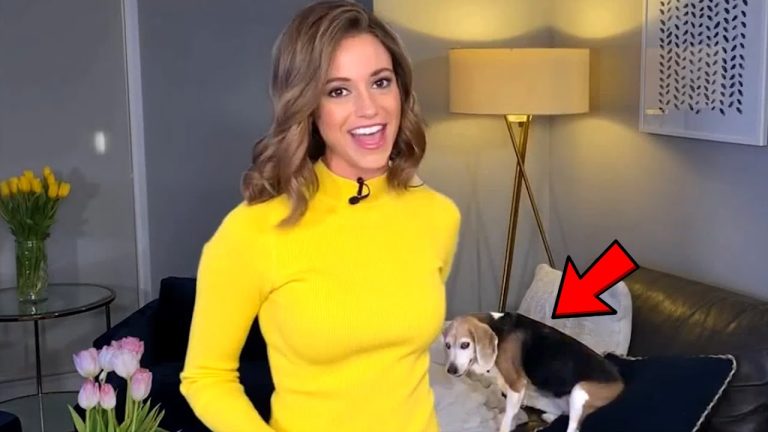 Woman in yellow with beagle on couch.