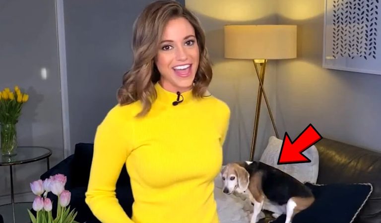 Best News Bloopers 2020