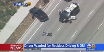 Police apprehending suspect after vehicle pursuit on highway.