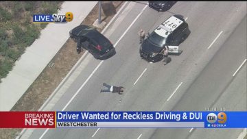 Police apprehending suspect after vehicle pursuit on highway.