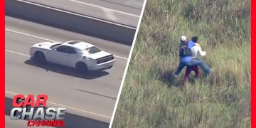 Car chase and field arrest scene