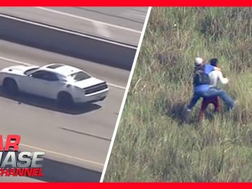 Car chase and field arrest scene