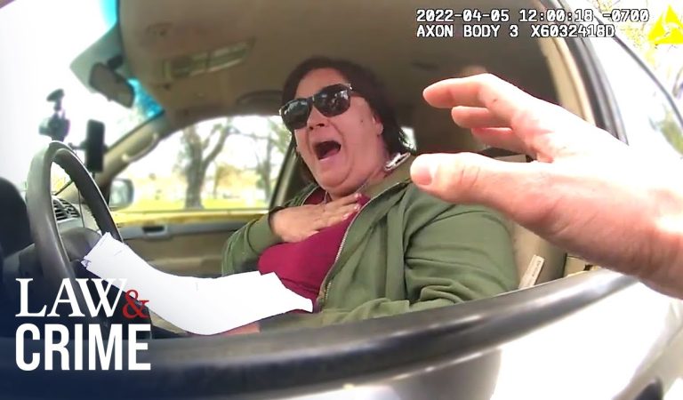 Caught On Bodycam: When Sovereign Citizens Are Taught a Lesson by Police
