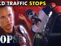 Police traffic stop scene from TV show Cops.