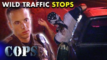 Police traffic stop scene from TV show Cops.