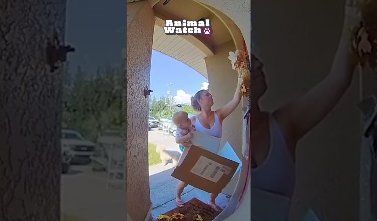 🤣 FUNNIEST | Caught On Camera Greatest Hits