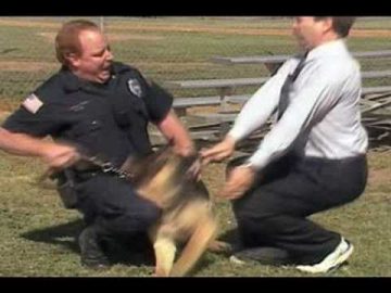 Police dog training with two men outdoors
