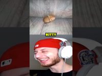 Laughing man watching a kitten on screen.
