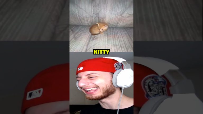 Laughing man watching a kitten on screen.