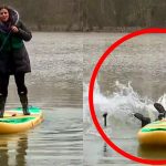 Woman paddleboarding, falling into water