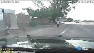 Dashcam captures person walking on road, trees nearby.
