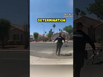 Police officer chasing running dog on street