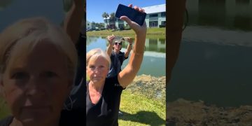 People holding phones by a pond