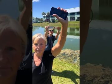 People holding phones by a pond