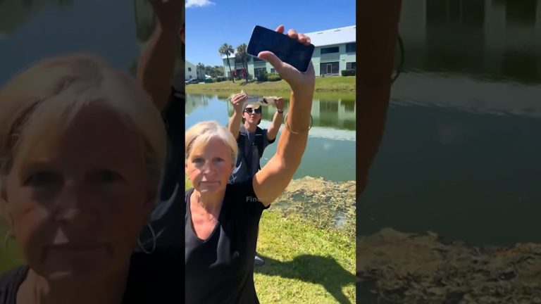 People holding phones by a pond