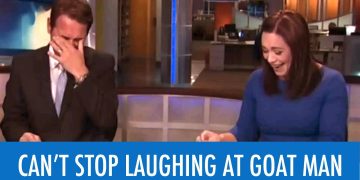 News anchors laughing during broadcast blooper.