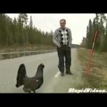 Man and grouse on roadside.