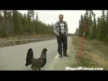 Man and grouse on roadside.
