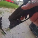 Officer holding gun, dog showing teeth on driveway.