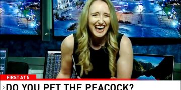 Laughing woman in news studio with street cameras.
