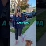 Person walking dog on California street