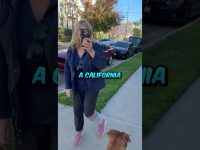 Person walking dog on California street