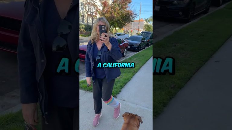 Person walking dog on California street