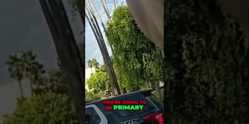 Police car by trees and palm trees on street.