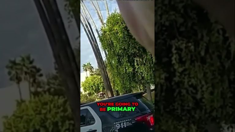 Police car by trees and palm trees on street.