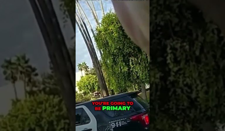 Police Chase Goes Wrong: Epic Fail!