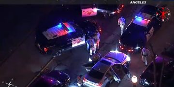 Police cars and officers at night traffic stop.