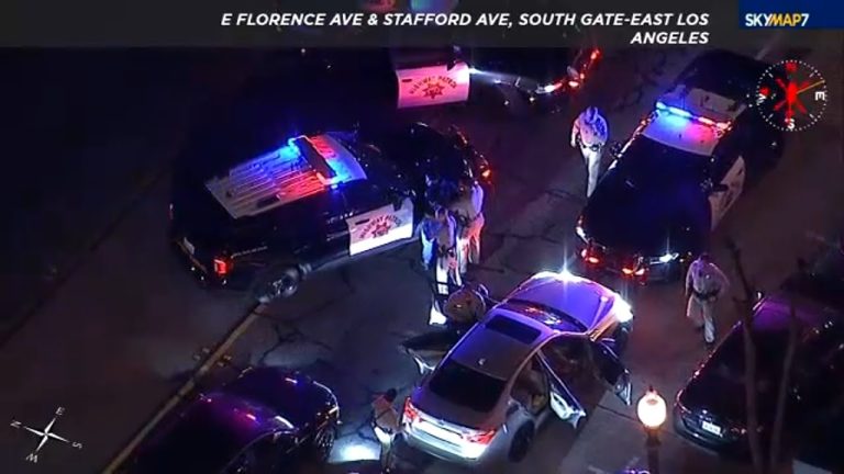 Police cars and officers at night traffic stop.