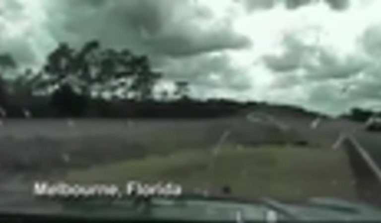 Dashcam captures wild chase