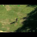 Aerial view of person running on grass.