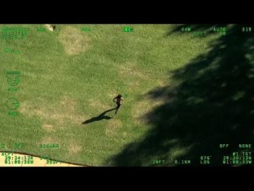 Aerial view of person running on grass.